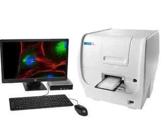 Cell Analysis